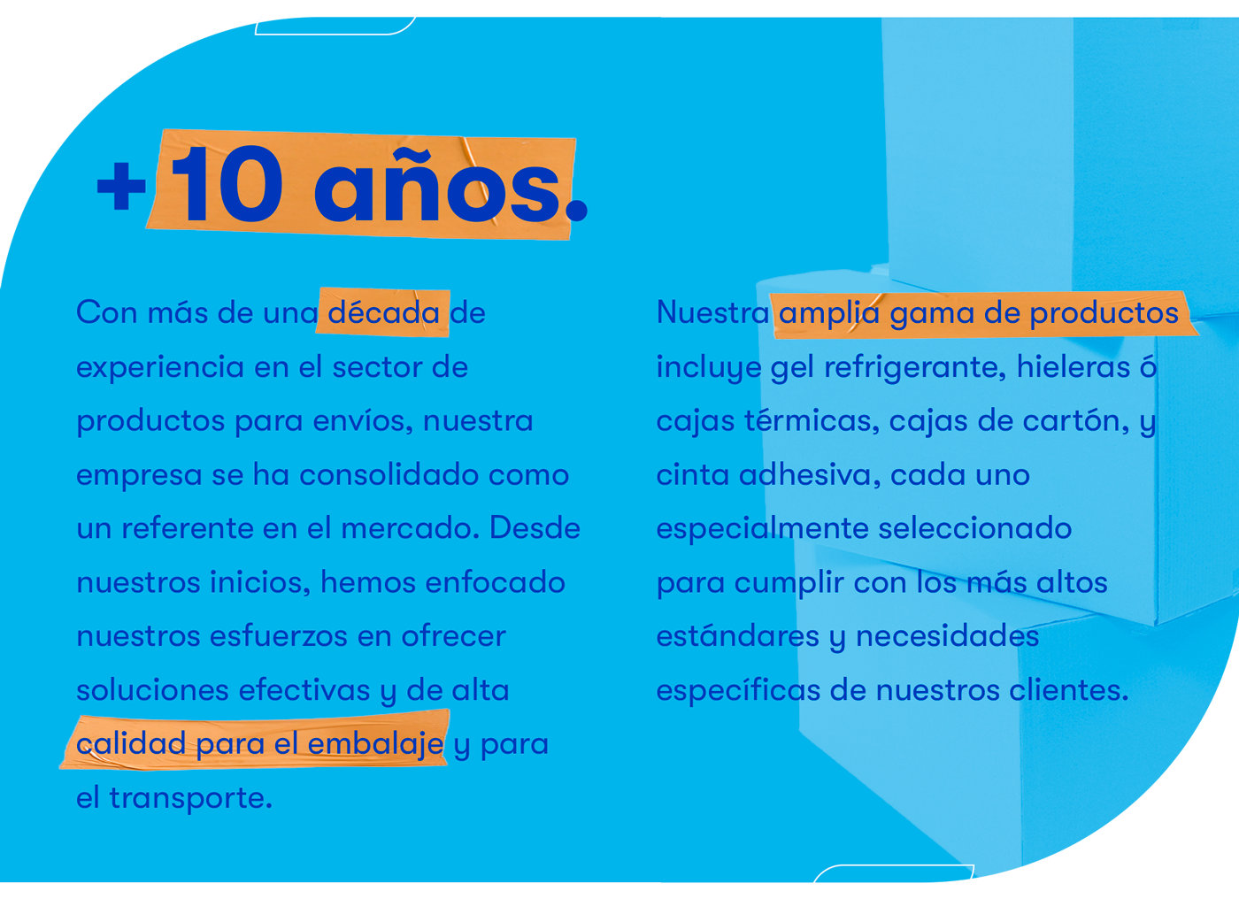 ezice-experiencia